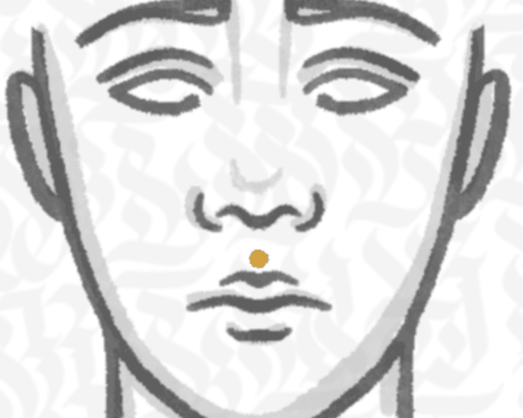 Philtrum Piercing (Medusa)