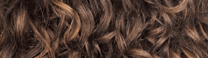 Fátima Flores rulos y maquillaje  banner