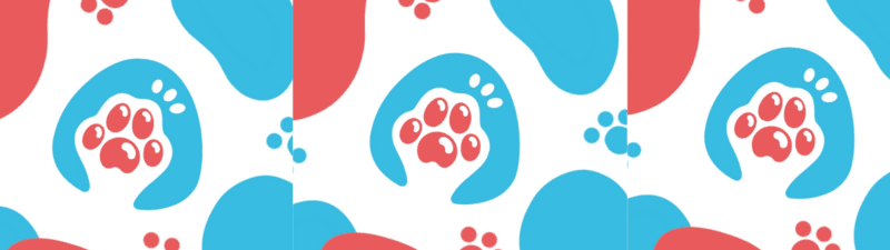 Dra. Francisca Casas Orellana banner