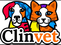 CONSULTA FELINA