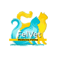 FelVet Medicina Felina