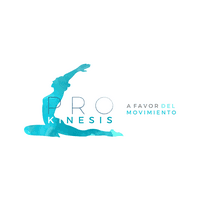 Pro kinesis  logo