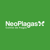 🏠 Servicios en menos de 24 hrs 🚨🐀🕷️🐛 logo