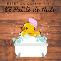 izzabelllangarica@gmail.com logo