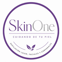 SkinOne logo