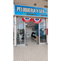 Blue Spa peluquería unisex Maipu logo