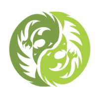 Dragon de Jade logo