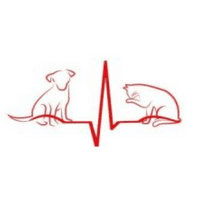 Servicio Cardiológico logo