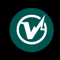 VITALITY.REC logo