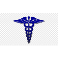 ANEXUS.CONSULTORIO logo