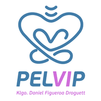 PELVIP TORREMEDICA logo