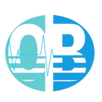 CLINICA DE ESPECIALIDADES OB logo