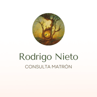 Consulta Matrón Rodrigo Nieto logo