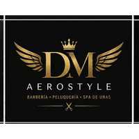 DM AEROSTYLE logo