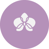 Nalilah Spa logo