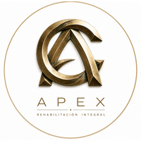 APEX logo