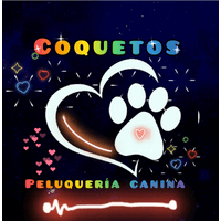 CoquetosChic logo