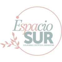 Espacio Sur logo