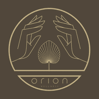 Orion Wellness  logo