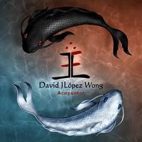 Acupuntura David José López Wong logo