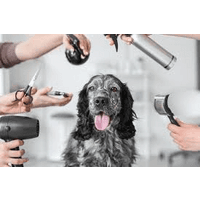 Pets Shop CORAZÓN CON PATAS logo