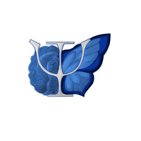 Alberto Sauceda Psicólogo  logo