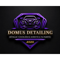 Domus Detailing logo
