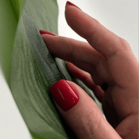 Vuxia Studio School Nails  logo