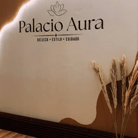Palacio Aura logo