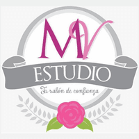 Mv estudio logo
