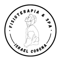 Fisioterapia & Spa  logo
