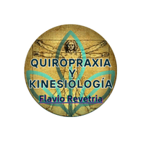 Flavio Quiropraxia y Kinesiología  logo