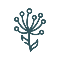 Espacio Vilano logo
