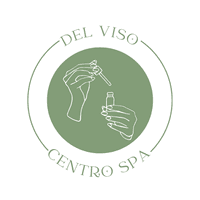 DV Centro Spa logo