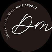 DAMIAN MARINELLI HAIR STUDIO logo