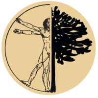 Centro Médico Da Vinci logo