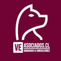 VEASOCIADOS.CL Abogados & Consultores  logo