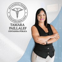 Tamara Paillalef - V&P Consultores logo