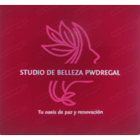 Estudio de Belleza Pedregal  logo