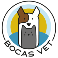 BOCAS VET CLINIC logo