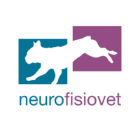  Neurofisiovet logo