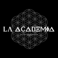 LA ACADEMIA logo