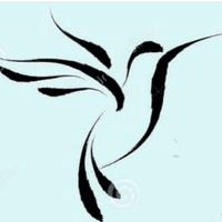 Centro Colibri logo