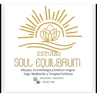 Soul Equilibrium logo