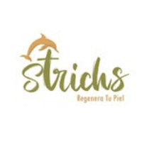 Strichs (camuflaje de estrias) logo