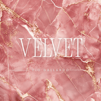 Velvet Nails  logo