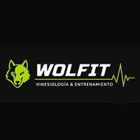 W O L F I T logo