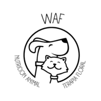 WAF nutricion animal logo