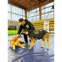 Consultorio de Román Zhbankova logo