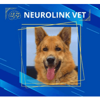 Dr. Sergio Lobos - Neurología logo